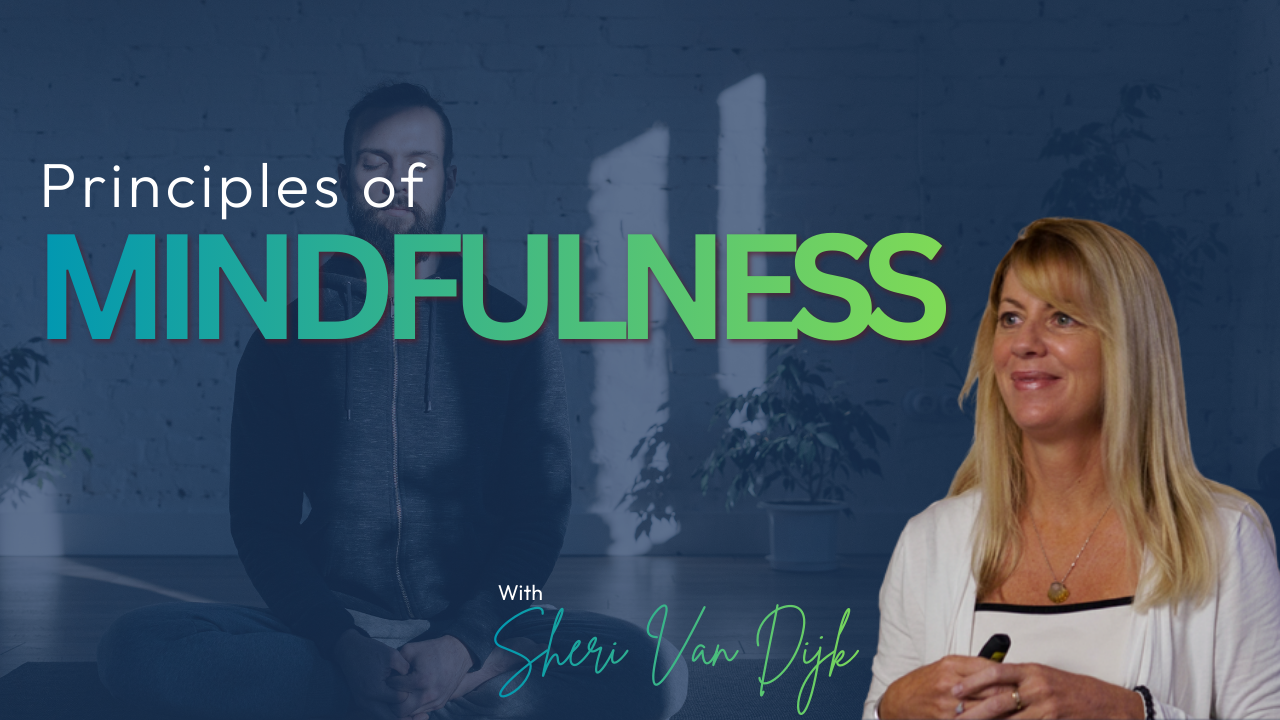 Principles of Mindfulness